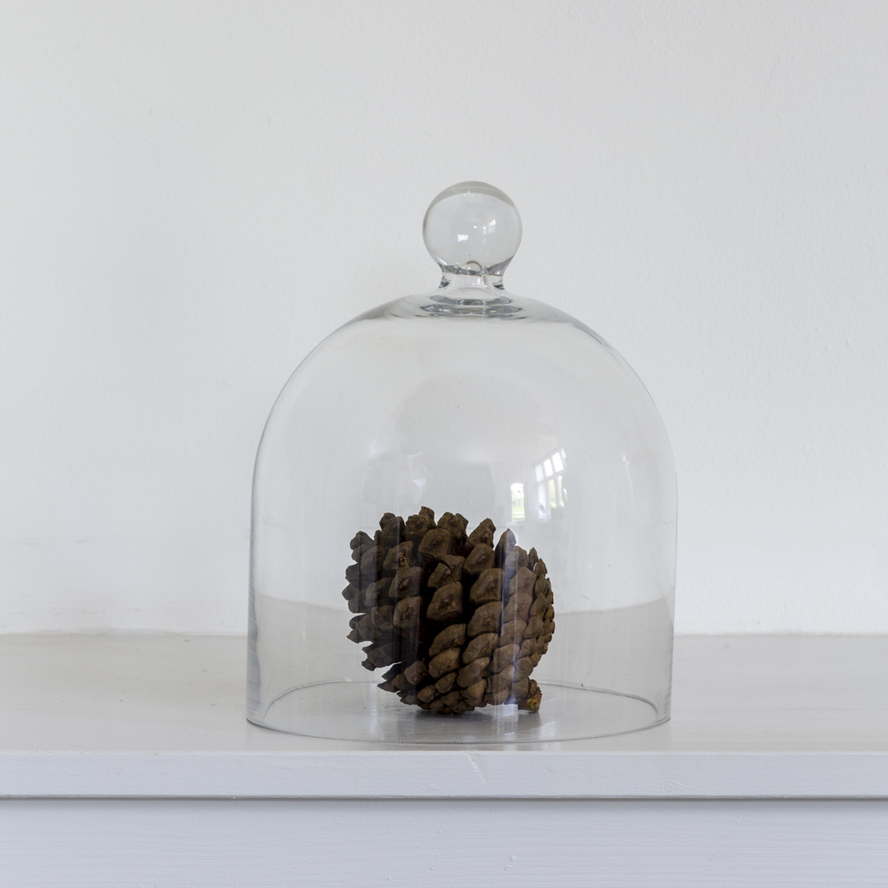 Glass Dome Medium