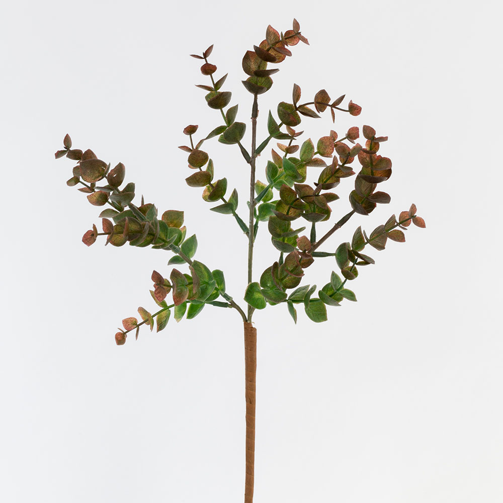 Eucalyptus Sprig