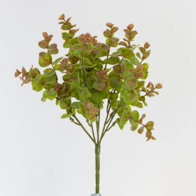 Small Eucalyptus Spray