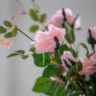Rose Spray Soft Pink