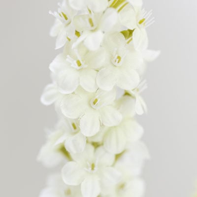 Veronica Spray White