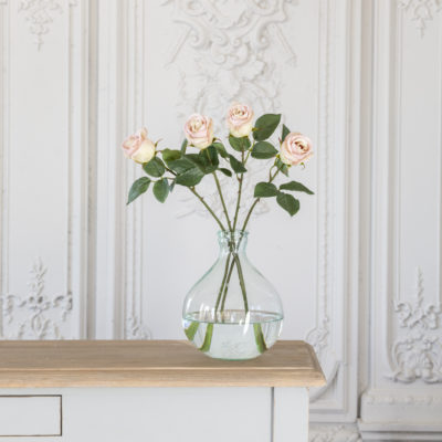 Rose Apple White