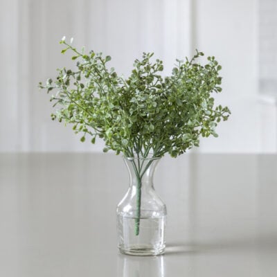 Eucalyptus Gunnii Spray