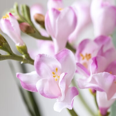 Freesia Spray Pink