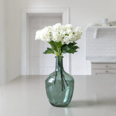 Demijohn Thyme Large