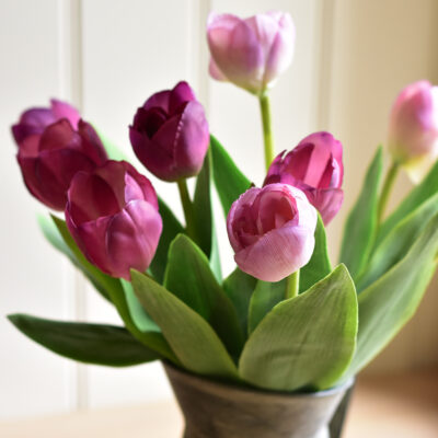 Tulips