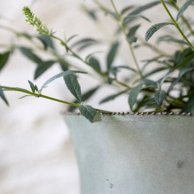 Bathwick Planters With Beading Set of 3