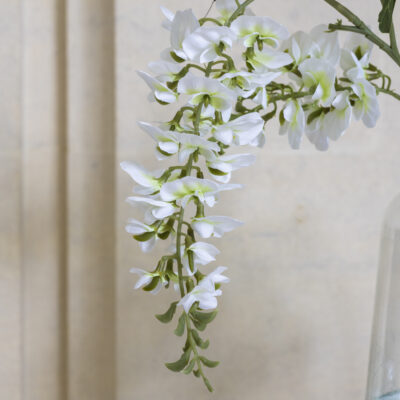 Wisteria Off White