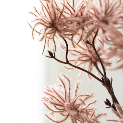 Prairie Smoke