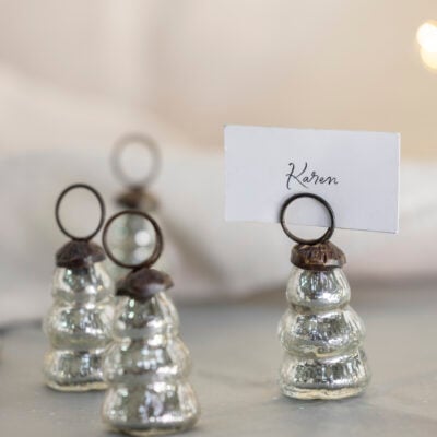 Tree Name Place Holder Silver Bag of 6