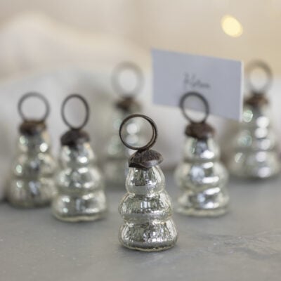 Tree Name Place Holder Silver Bag of 6