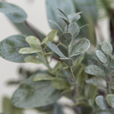 Foliage & Fircone Tree Large