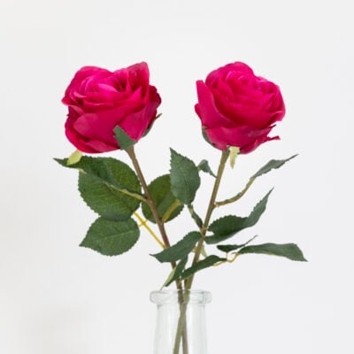 Rose Red