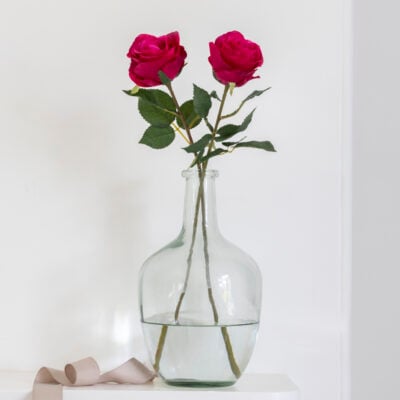 Rose Red