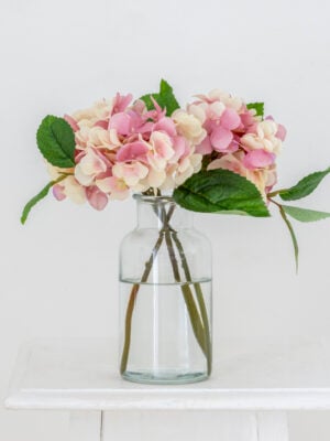 Hydrangea Pink