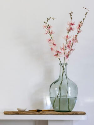 Phoenix Orchid