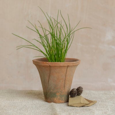 Antiqued Redstone Trumpet Pot Medium