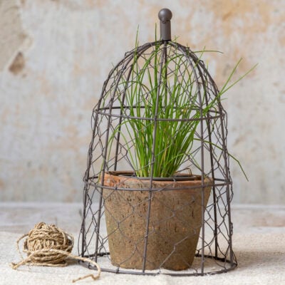 Wire Cloche with Antiqued Redstone Pot & Saucer