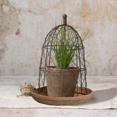 Wire Cloche With Antiqued Redstone Pot & Saucer
