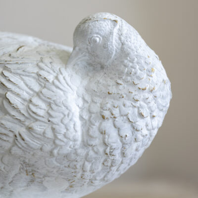 Rupert Pheasant
