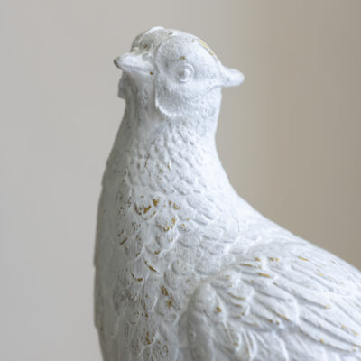Winston Pheasant