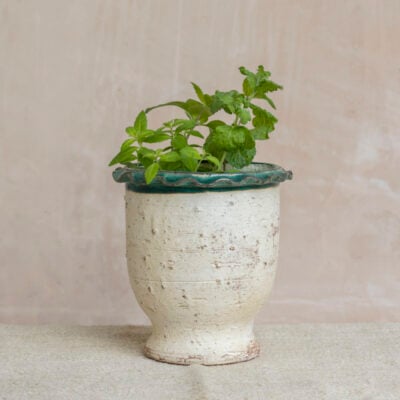 Pot with Green Frill Rim