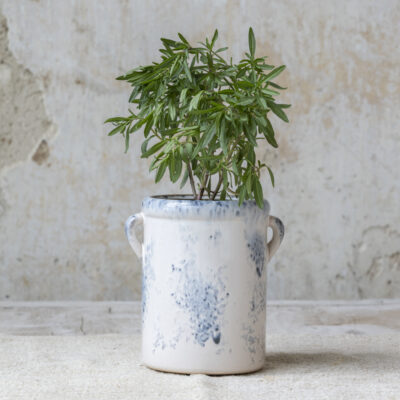 Cassis Stoneware Jar