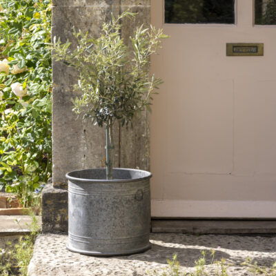 Wilton Round Zinc Planters Set of 2
