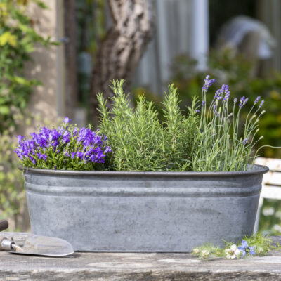Zinc Oval Planters Set of 2