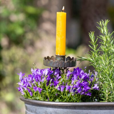 Scalloped Stake Candle Holder