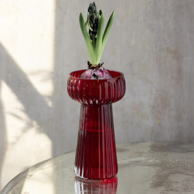 Ribbed Hyacinth Vase Red