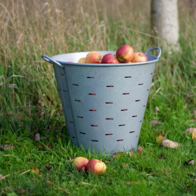 Windfall Bucket