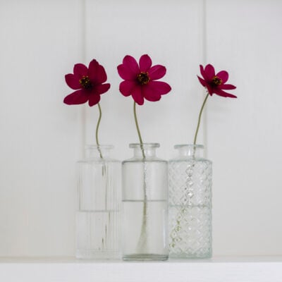 Bottle Vase 3 Assorted Designs
