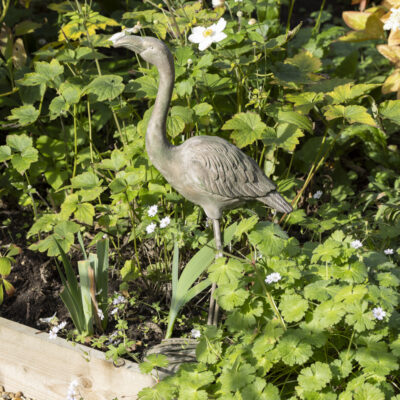 Flavia Flamingo