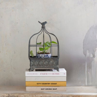 Decorative Metal Bird Cage Small