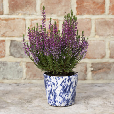 Old Style Dutch Pot Blue Splatter