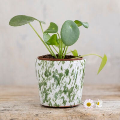 Mini Old Style Dutch Pot Green Splatter