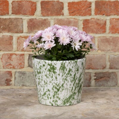Old Style Dutch Pot Green Splatter