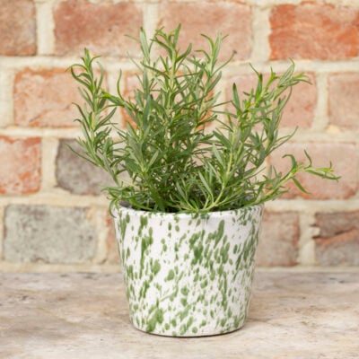 Old Style Dutch Pot Green Splatter