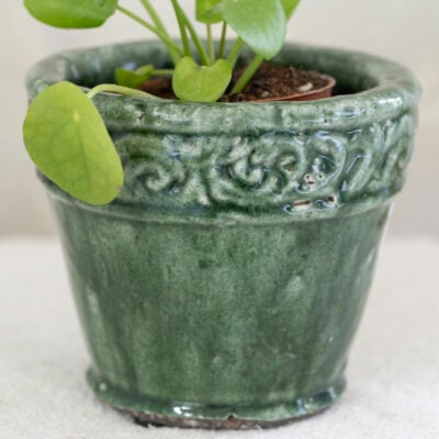 Ornate Planter Green Small