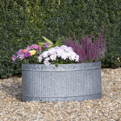 Babington Oval Low Planters Set of 3