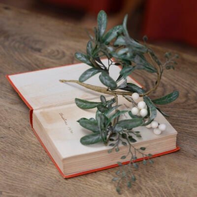 White Berry Sprig With Frosted Leaves