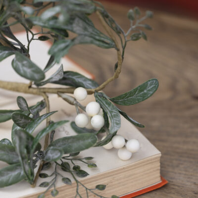 White Berry Sprig With Frosted Leaves