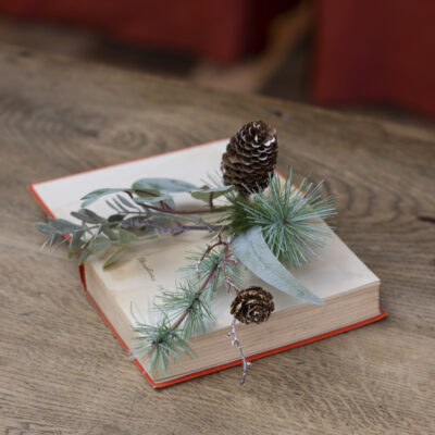 Foliage & Fircone Sprig