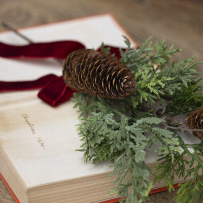 Foliage & Fircone Sprig with Velvet Ribbon