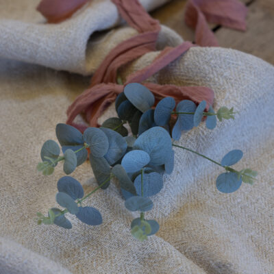 Eucalyptus & Rose Leaf Sprig