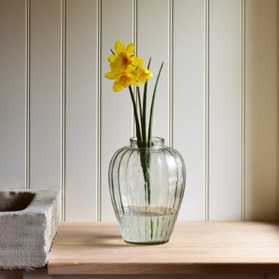 Daffodil Stem Yellow