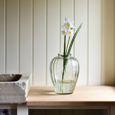 Narcissi Stem White