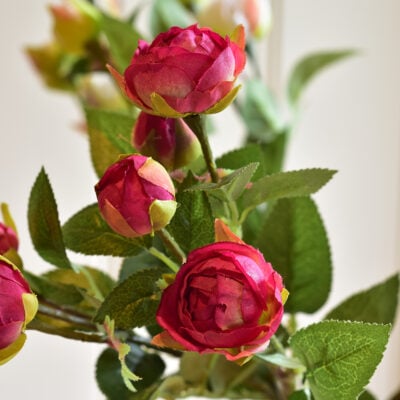 Rosebud Spray Red
