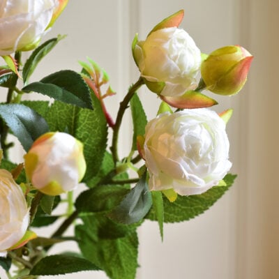 Rosebud Spray White